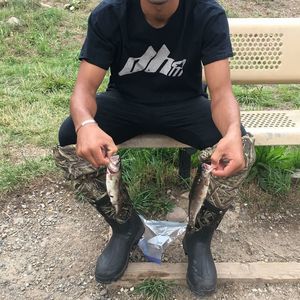 Meet your Posher, Jordan